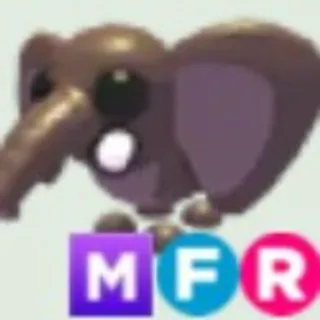 MFR BUSH ELEPHANT ( 5MINUTES DELIVERY)