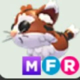 MFR Munchkin Cat (5MINUTES DELIVERY)