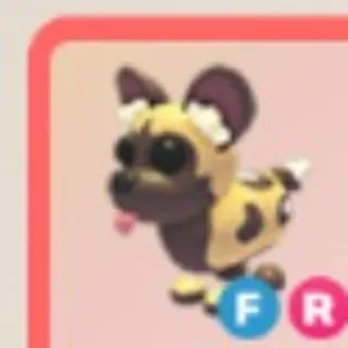  FR African Wild Dog (5MINUTES DELIVERY) 