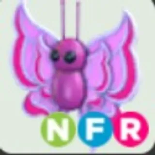  NFR ORCHID BUTTER FLY ( 5MINUTES DELIVERY)