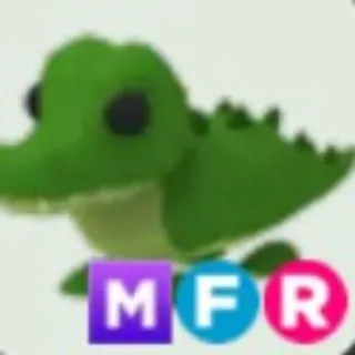  MFR CROCODILE (5MINUTES DELIVERY)