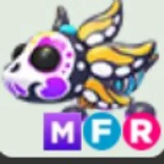 MFR SUGAR AXOLOTL ( 5MINUTES DELIVERY)
