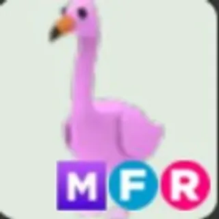 MFR FLAMINGO (5MINUTES DELIVERY)
