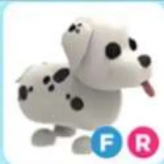 FR DALMATIAN