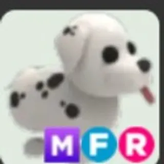  MFR DALMATIAN (5MINUTES DELIVERY)