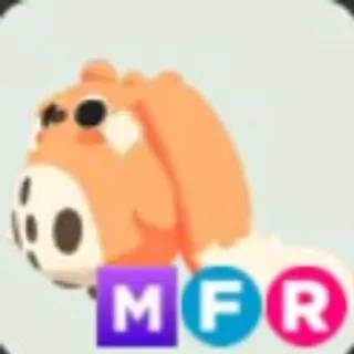 MFR CABBIT (5MINUTES DELIVERY)