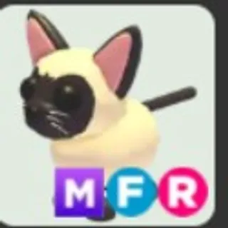 MFR SIAMESE CAT (5MINUTES DELIVERY)