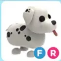 FR DALMATIAN ( 5 MINUTES DELIVERY)