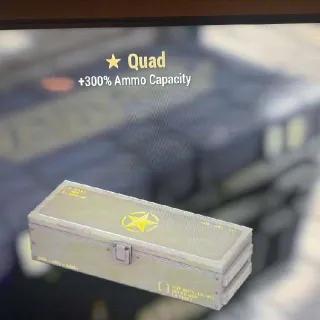 Quad Mod