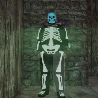 Glowing Skeleton Custome Plan