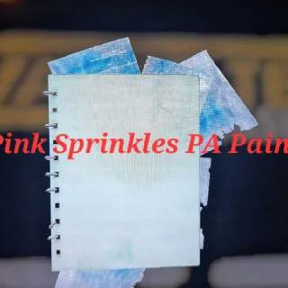 Pink Sprinkles PA Paint