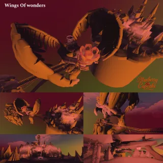 Wings of wonders 🪽
