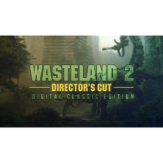 Wasteland 2: Director’s Cut - Classic Edition - Steam Games - Gameflip