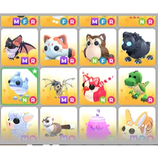 pet Bundle