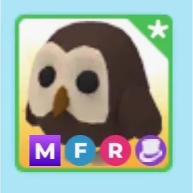 MFR Owl
