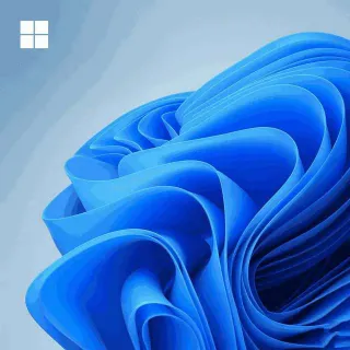 Windows 11 Pro