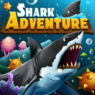 Shark Adventure