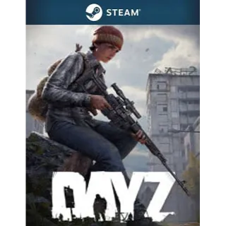 DayZ Steam Account