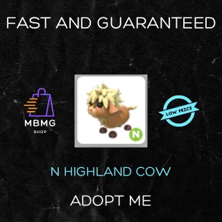 N HIGHLAND COW
