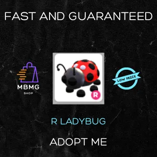 R LADYBUG