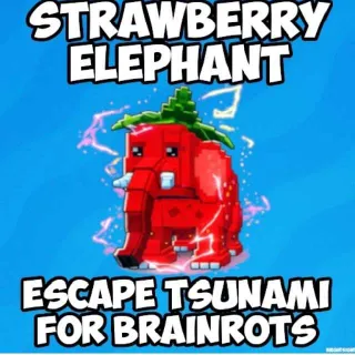 10x Strawberry Elephant