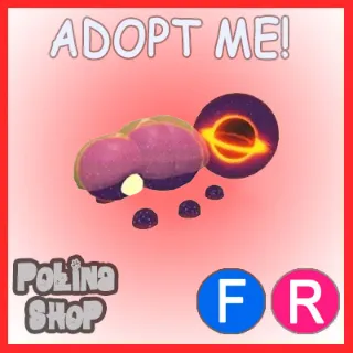 Singularity Beetle FR