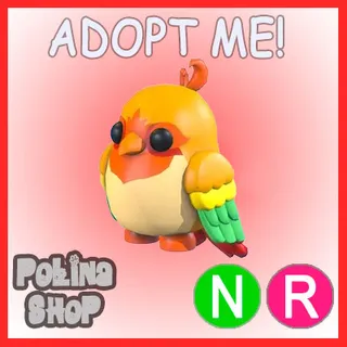 Love Bird NR