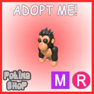 Gorilla MR