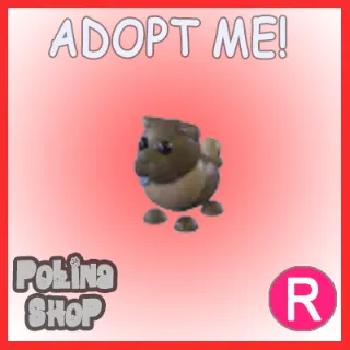 Chocolate Chow-Chow R x4