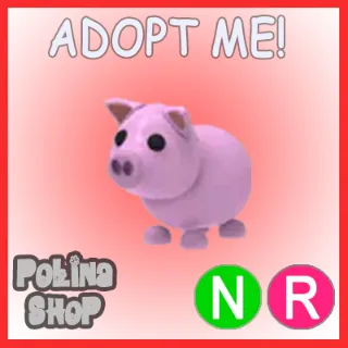 Pig NR