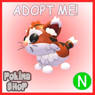 Munchkin Cat N