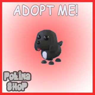 Royal Palace Spaniel x4