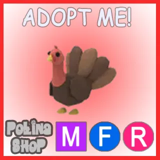 Turkey MFR