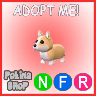 Corgi NFR