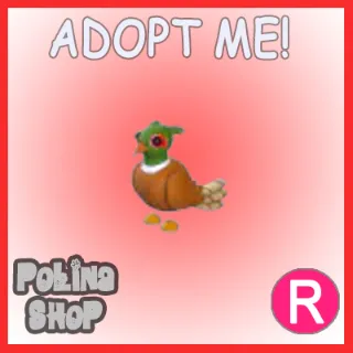 Brown-Chested Pheasant R x4