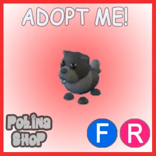 Black Chow-Chow FR 