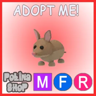 Bandicoot MFR