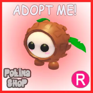 Coconut Friend R