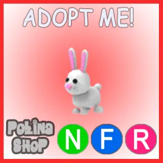 Bunny NFR