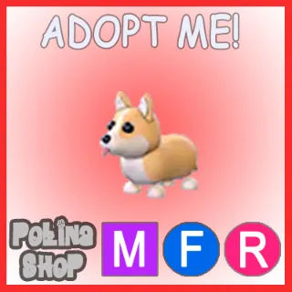 Corgi MFR 