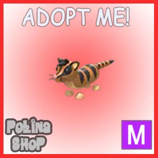 Banded Palm Civet M