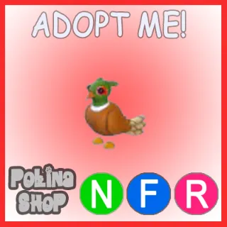 Brown-Chested Pheasant NFR