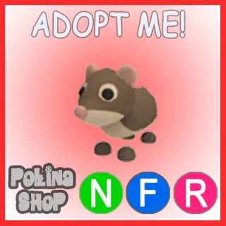 Shrew NFR