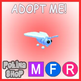 Glacier Moth MFR