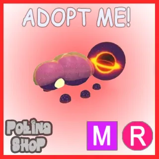 Singularity Beetle MR