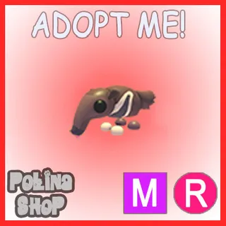 Giant Anteater MR