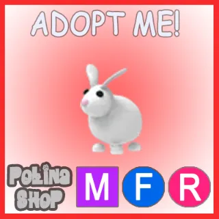 Rabbit MFR