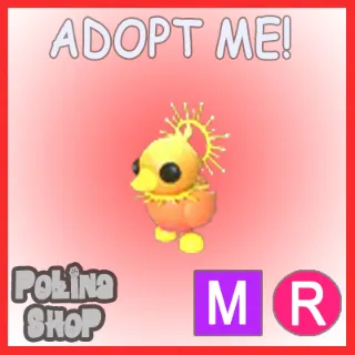 Sunrise Duckling MR