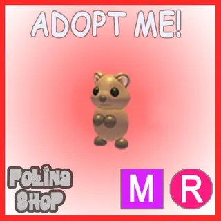 Quokka MR