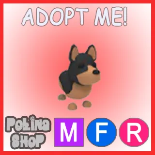 Australian Kelpie MFR